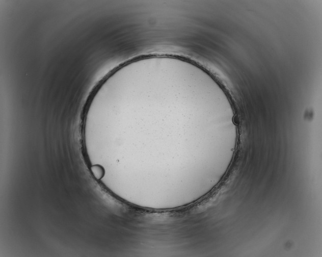 X0000101700990200808071154