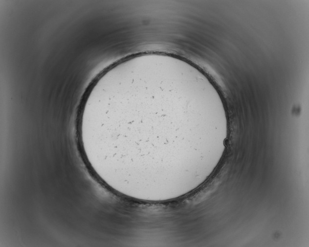 X0000101700991200808071154