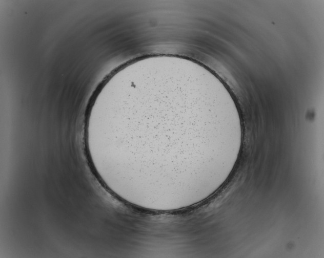 X0000101700992200808071154