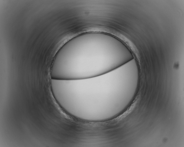 X0000101700993200808071154