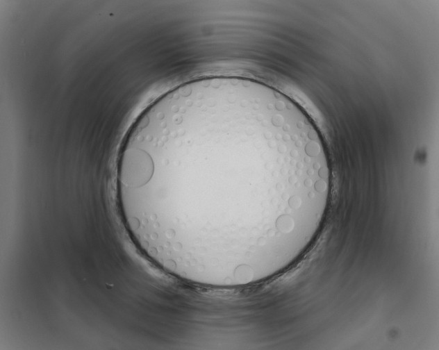 X0000101700994200808071154