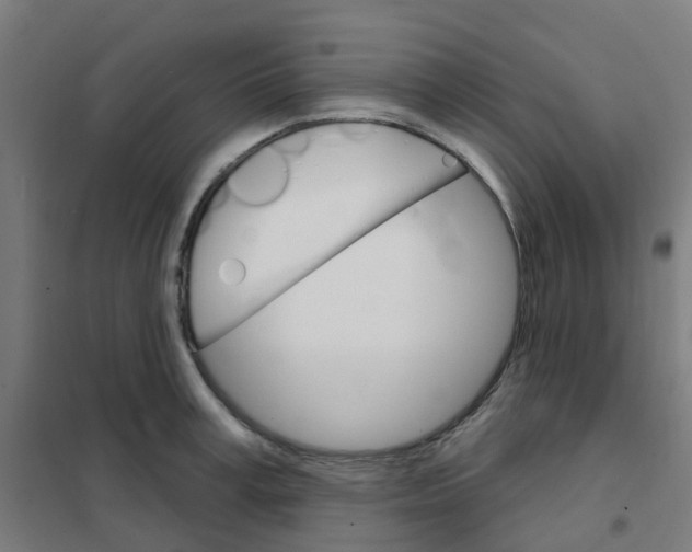X0000101700995200808071154