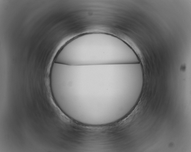X0000101700996200808071154
