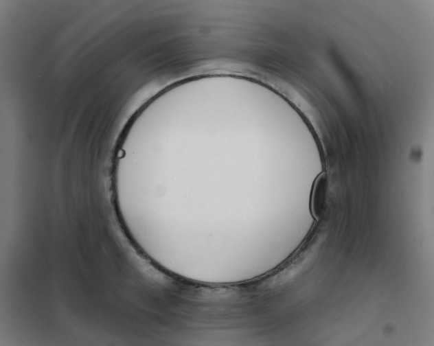 X0000101700997200808071154