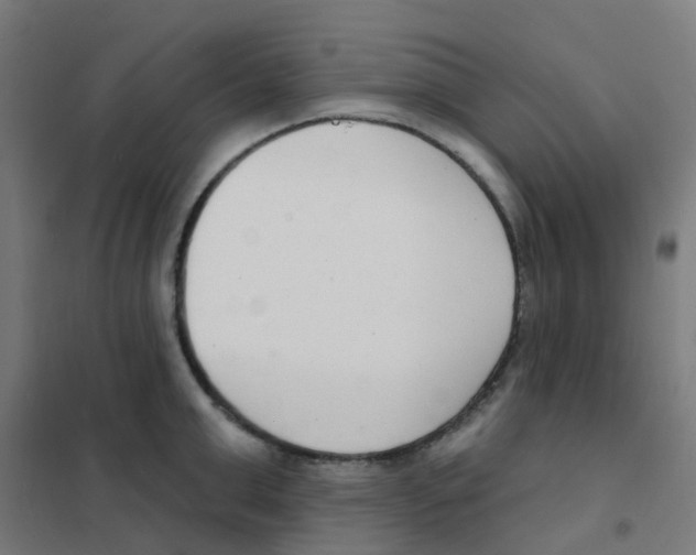 X0000101700999200808071154