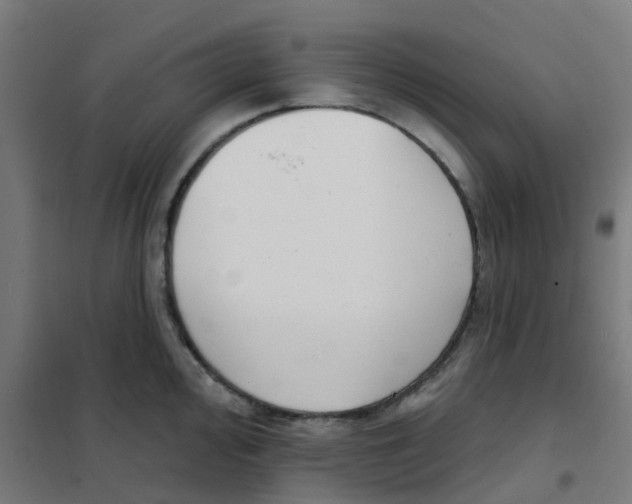 X0000101701000200808071154
