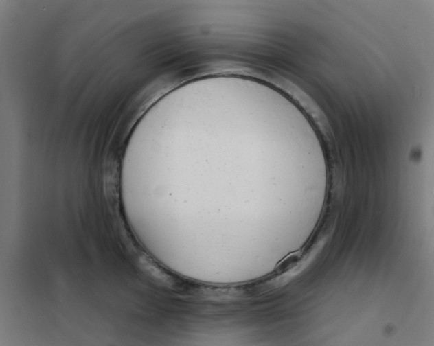 X0000101701001200808071154