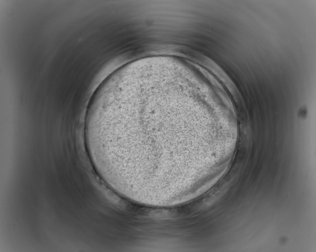 X0000101701002200808071154