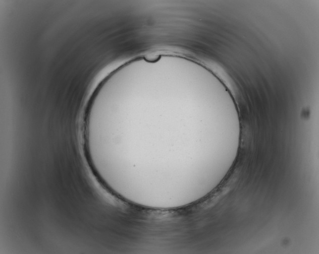 X0000101701003200808071154