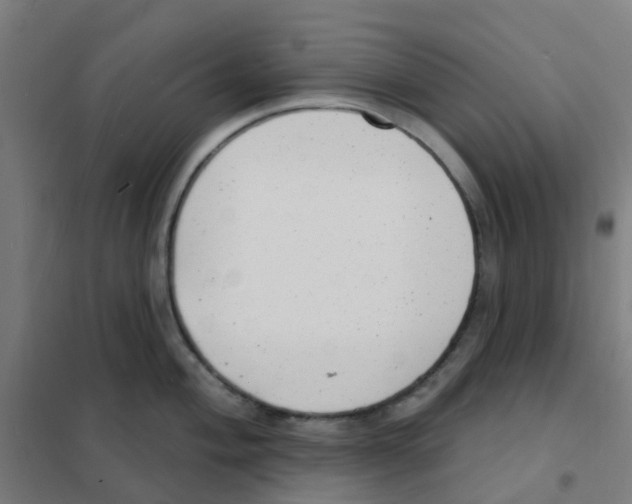 X0000101701004200808071154