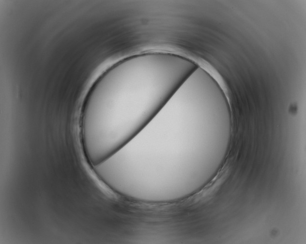 X0000101701005200808071154