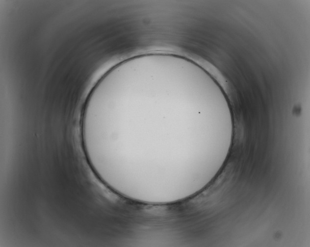 X0000101701006200808071154