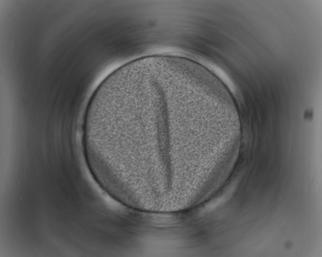 X0000101701007200808071154