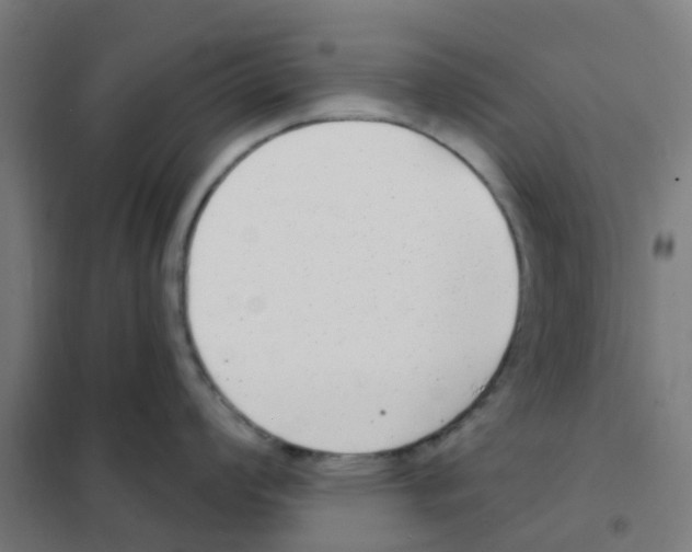 X0000101701008200808071154
