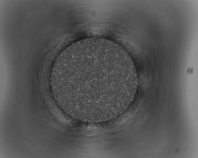 X0000101701009200808071153