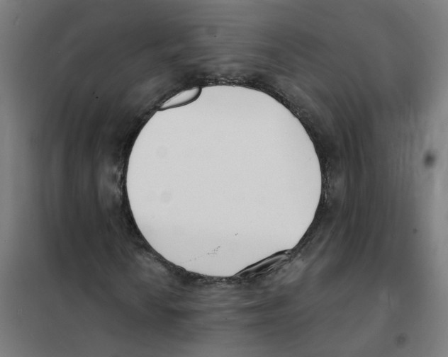 X0000101701010200808071153