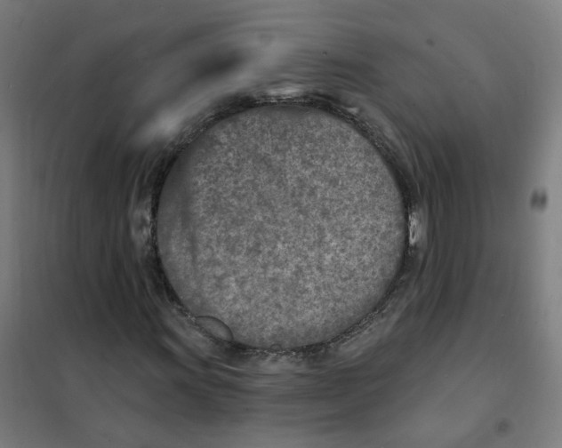 X0000101701011200808071153