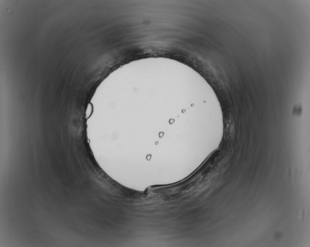X0000101701012200808071153