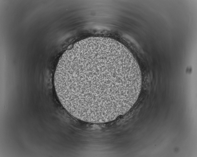 X0000101701013200808071153
