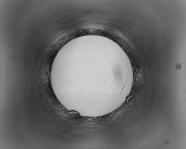 X0000101701014200808071153