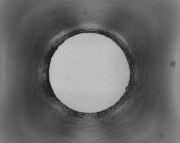 X0000101701016200808071153