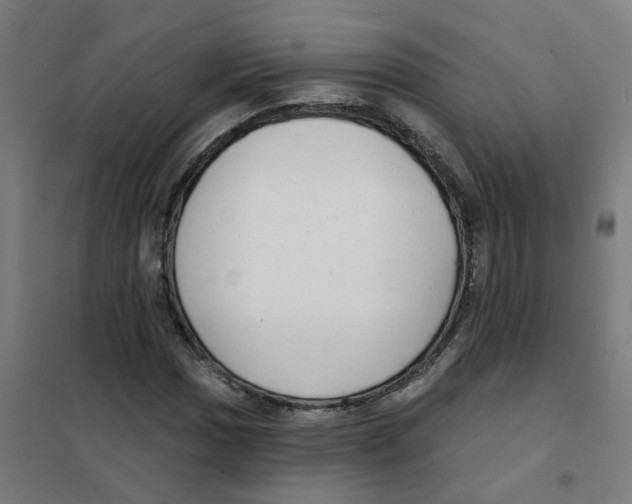 X0000101701017200808071153