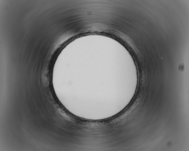 X0000101701018200808071153