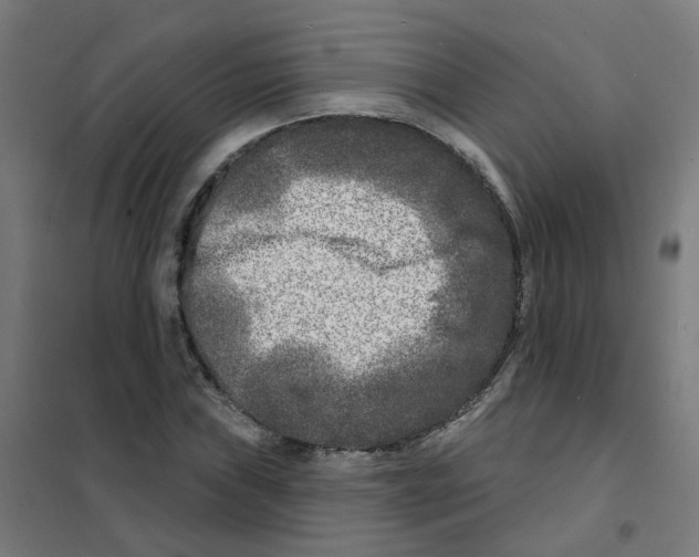 X0000101701019200808071153