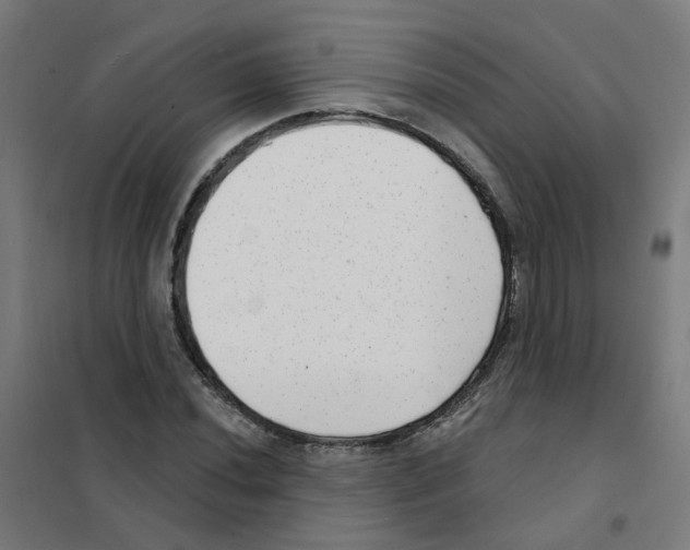 X0000101701020200808071153