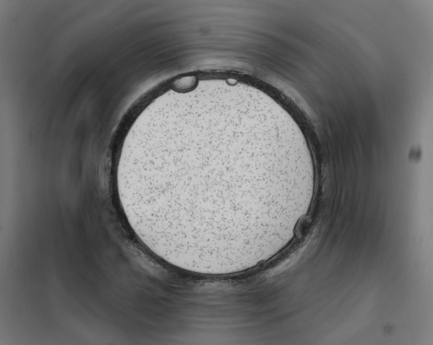 X0000101701021200808071154