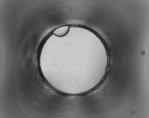 X0000101701022200808071154