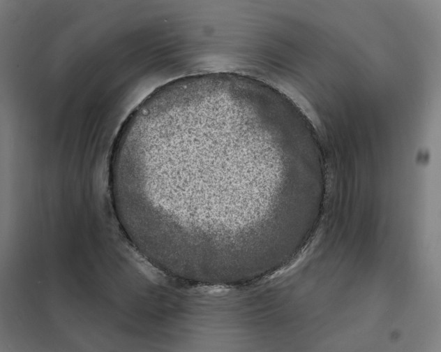 X0000101701023200808071154