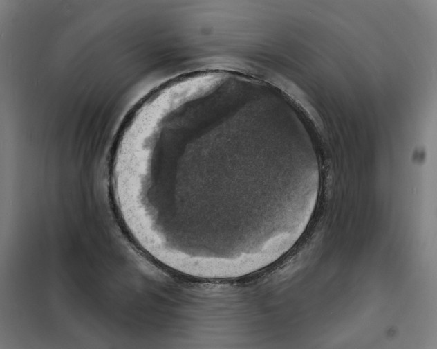 X0000101701024200808071154