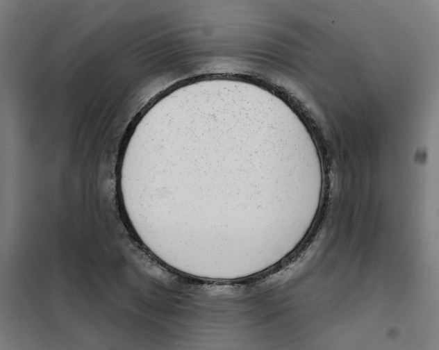 X0000101701025200808071154