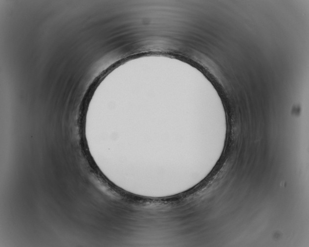 X0000101701026200808071154