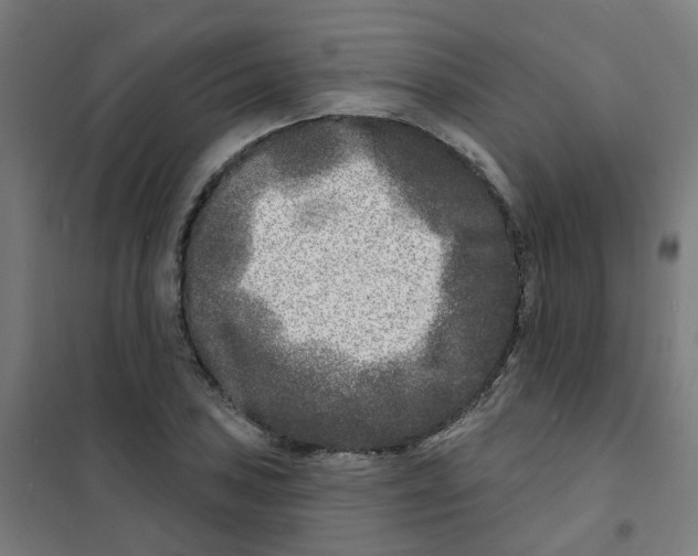 X0000101701027200808071154