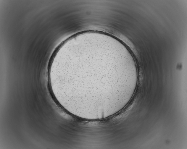 X0000101701028200808071154