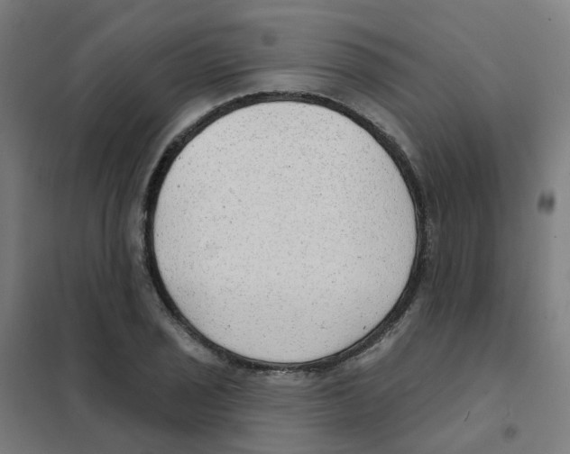 X0000101701029200808071154