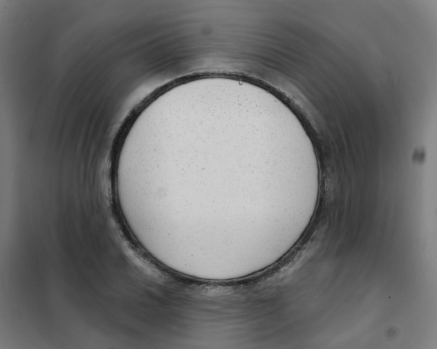 X0000101701030200808071154