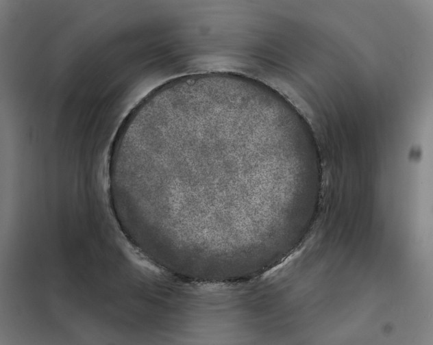 X0000101701031200808071154