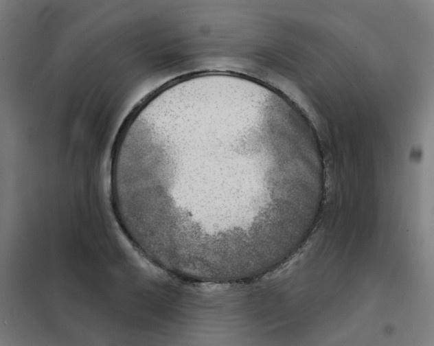 X0000101701032200808071154