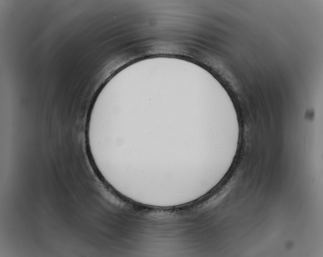 X0000101701033200808071154