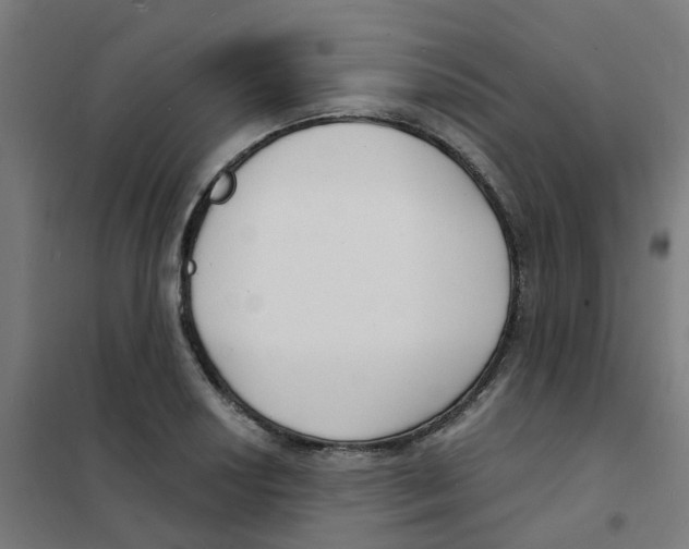 X0000101701034200808071154