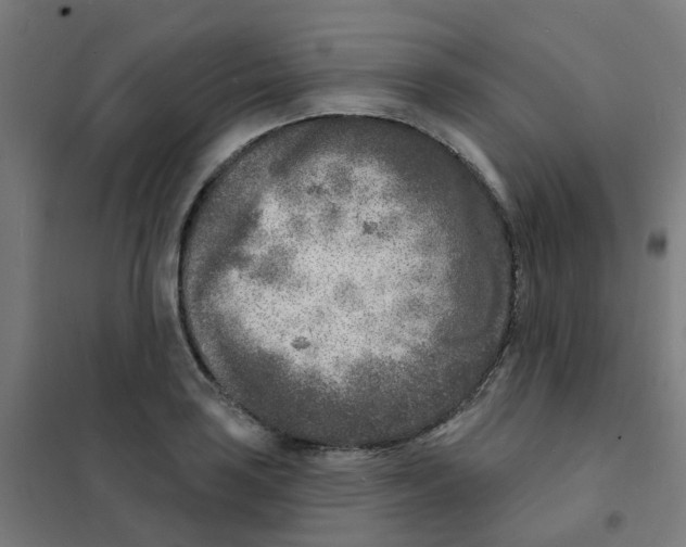 X0000101701035200808071154