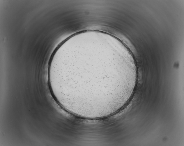 X0000101701036200808071154