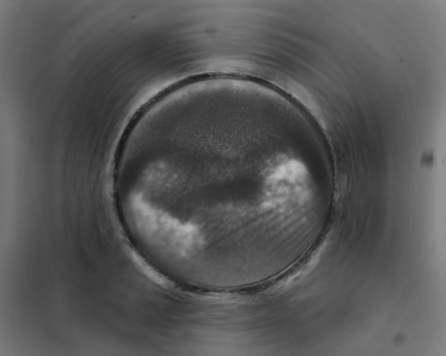 X0000101701037200808071154