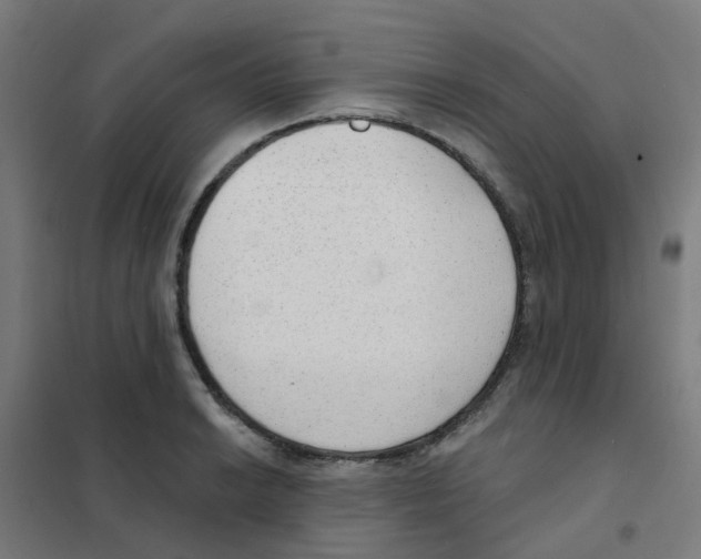 X0000101701038200808071154