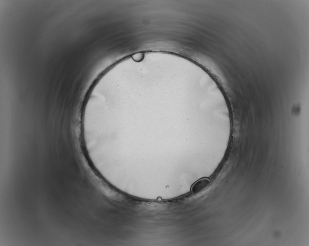 X0000101701040200808071154