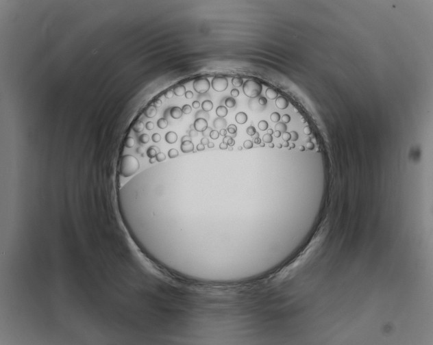 X0000101701041200808071154