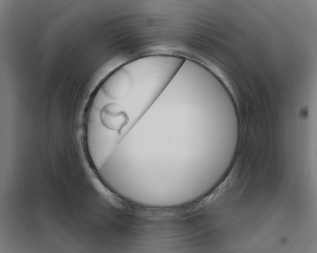 X0000101701042200808071154